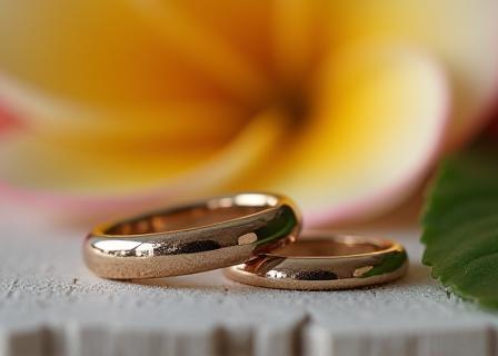 Close-up photograph of wedding rings on a natural surface