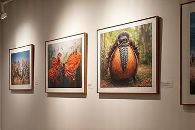 Sample of professional fine art photo prints displayed